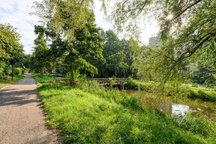 Bekijk foto 32 van Westboschlaan 185