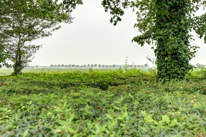 Photo 42 of Oostweg 2-0111