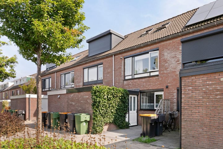 Bekijk foto 1 van Rijn 12