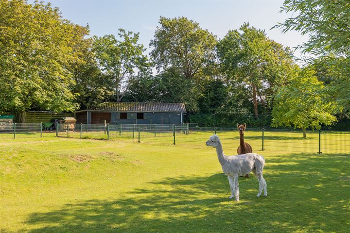 Bekijk foto 52 van Veenenburgerlaan 62