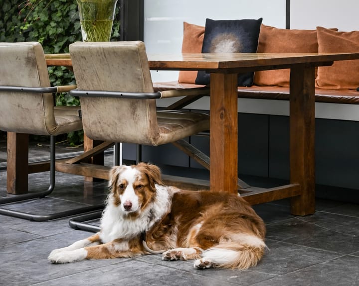 Foto 40 van Glipperpad 1