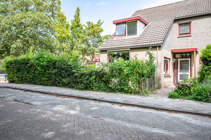 Foto 5 van Amazonestraat 1