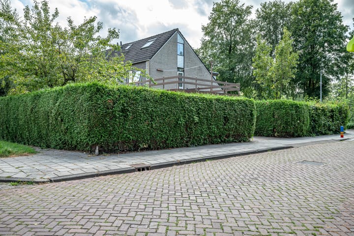 Foto 39 van Amazonestraat 1