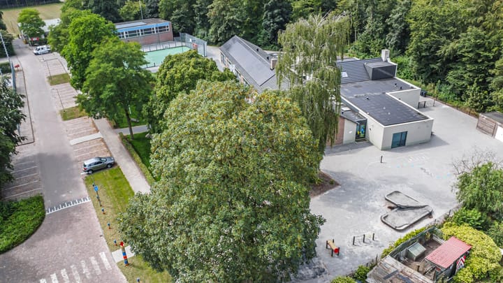 Foto 45 van Amazonestraat 1