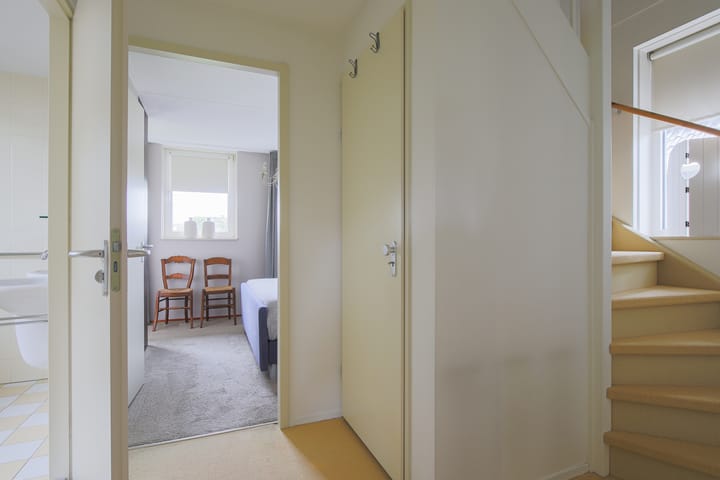 Foto 20 van Korenbloem 19