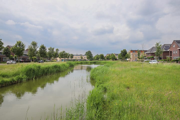 Foto 44 van Korenbloem 19