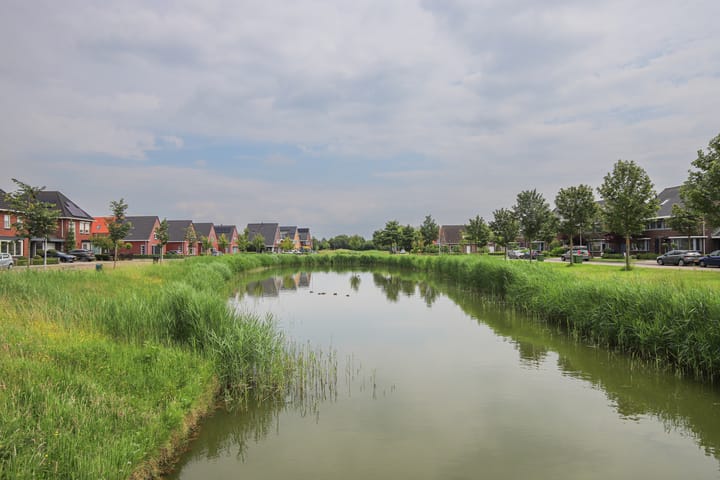 Foto 45 van Korenbloem 19