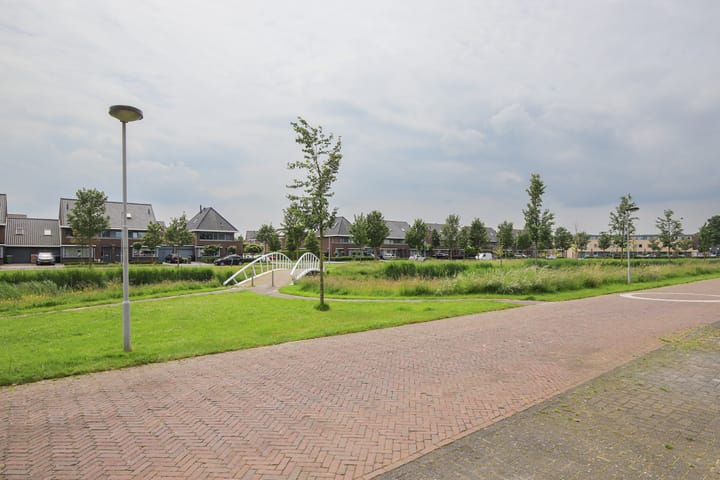 Foto 47 van Korenbloem 19