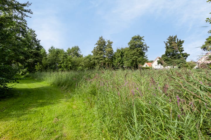 Foto 38 van Schutteheide 1-140