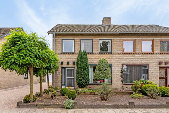undefined main image