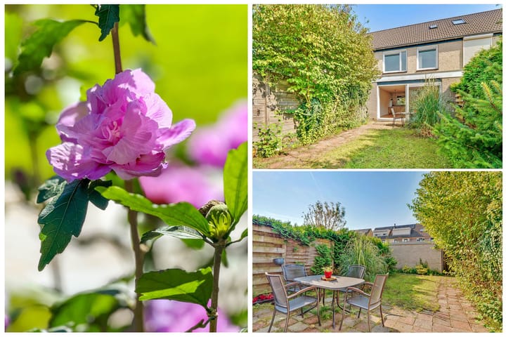 Photo 10 of Catharina van Renneslaan 59