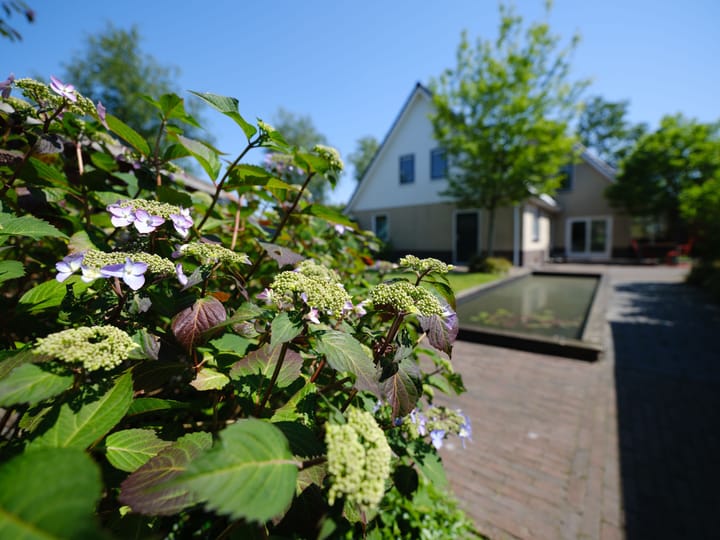 Foto 44 van Karturf 2