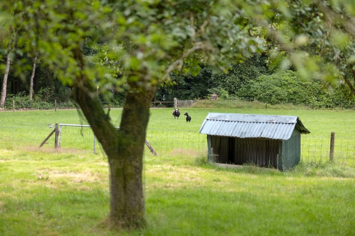 Foto 40 van Eikenlaan 18