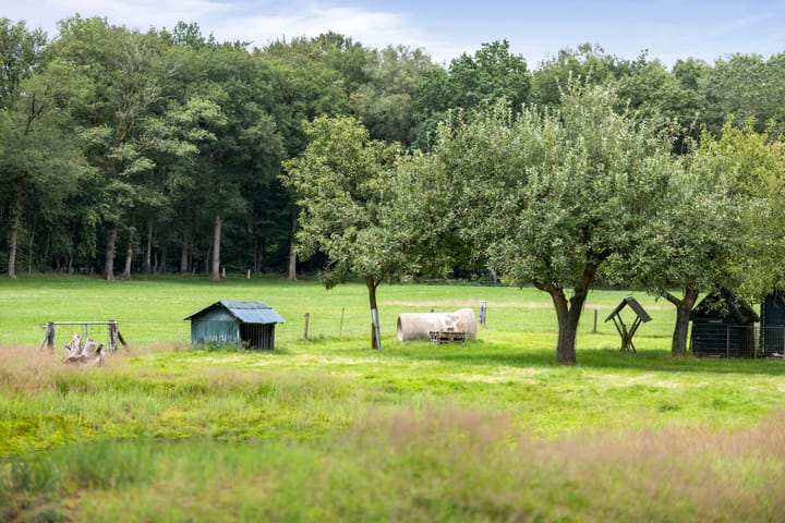 Foto 56 van Eikenlaan 18