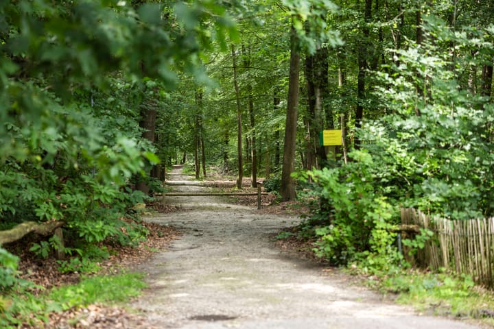 Foto 60 van Eikenlaan 18