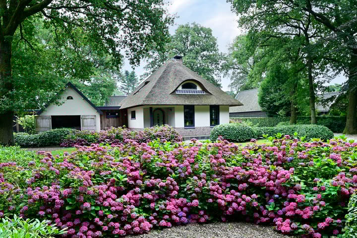 Foto 35 van Telgterweg 18