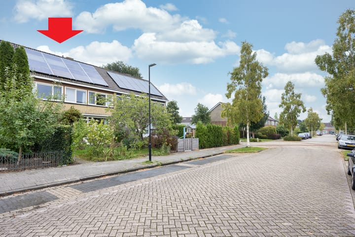 Foto 51 van De Pleatsen 31