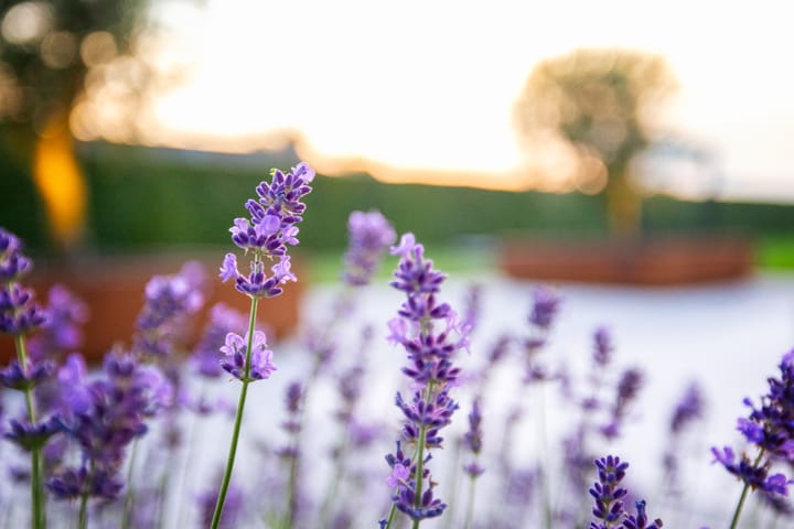 Photo 89 of Provincialeweg 70