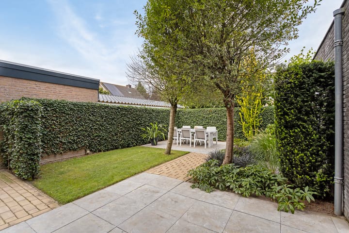 Photo 43 of De Omloop 17