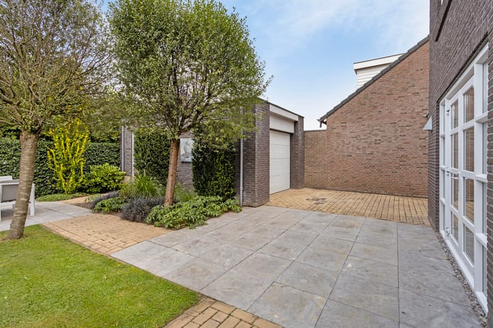 Photo 46 of De Omloop 17