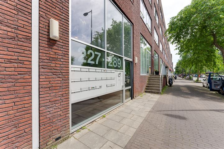 Bekijk foto 41 van Erich Salomonstraat 261