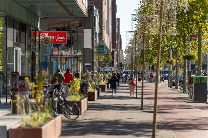 Bekijk foto 35 van Erich Salomonstraat 261