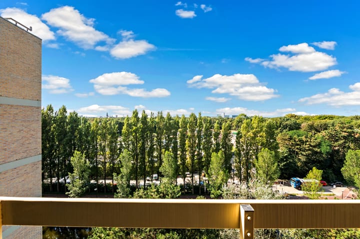 Foto 15 van Nieuwe Parklaan 38