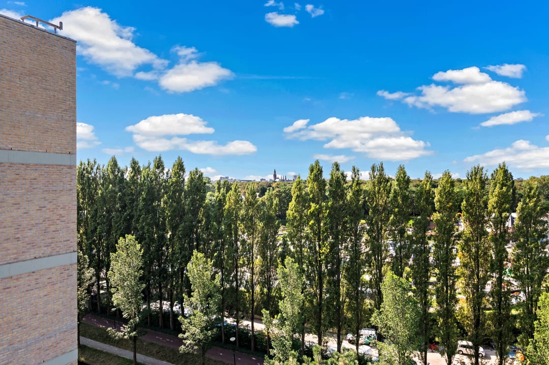 Photo 17 of Nieuwe Parklaan 38