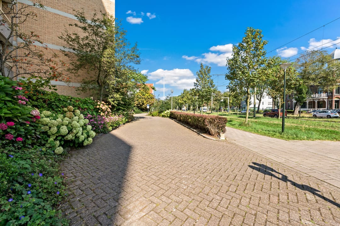 Photo 53 of Nieuwe Parklaan 38