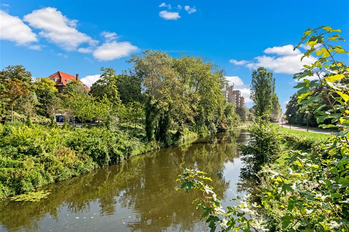 Bekijk foto 55 van Nieuwe Parklaan 38