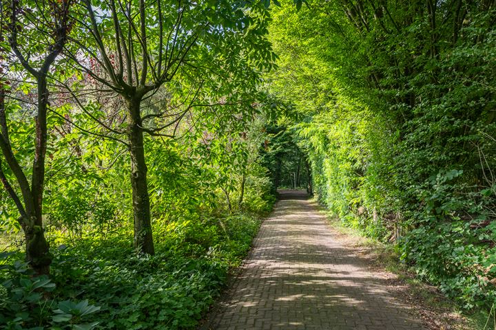 View photo 29 of Vosseveldseweg 17