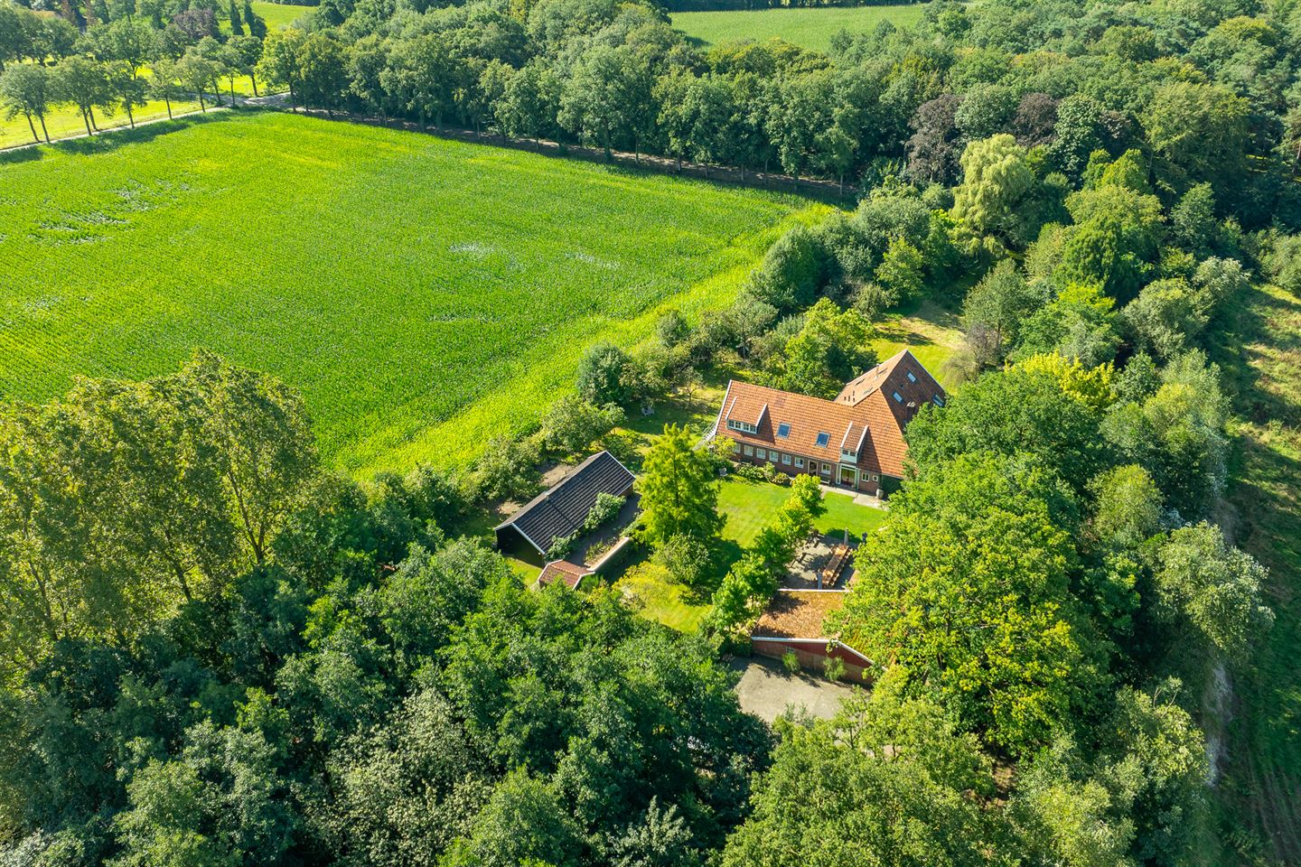 Bekijk foto 4 van Vosseveldseweg 17