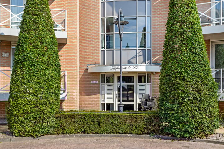 Foto 2 van de Hofnar 45