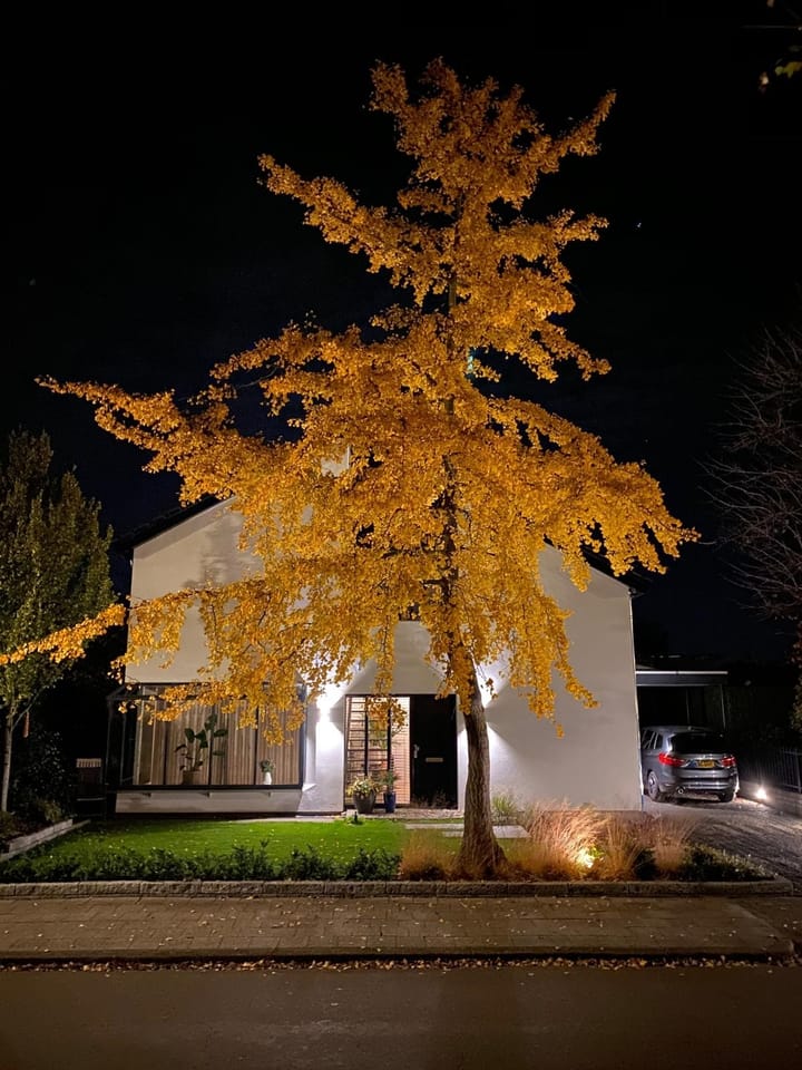 Foto 46 van Kerkweg 70