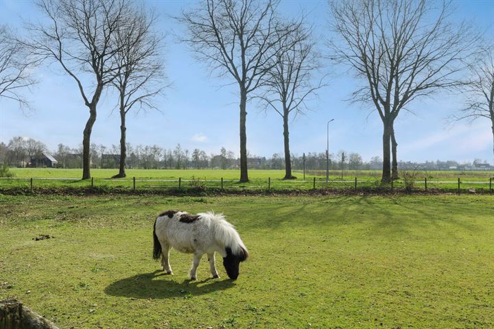 Bekijk foto 93 van Heegterstraat 44