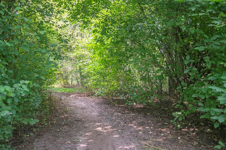 Bekijk foto 5 van Bremweg 15