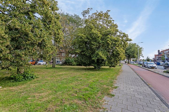 Bekijk foto 31 van Timorstraat 33