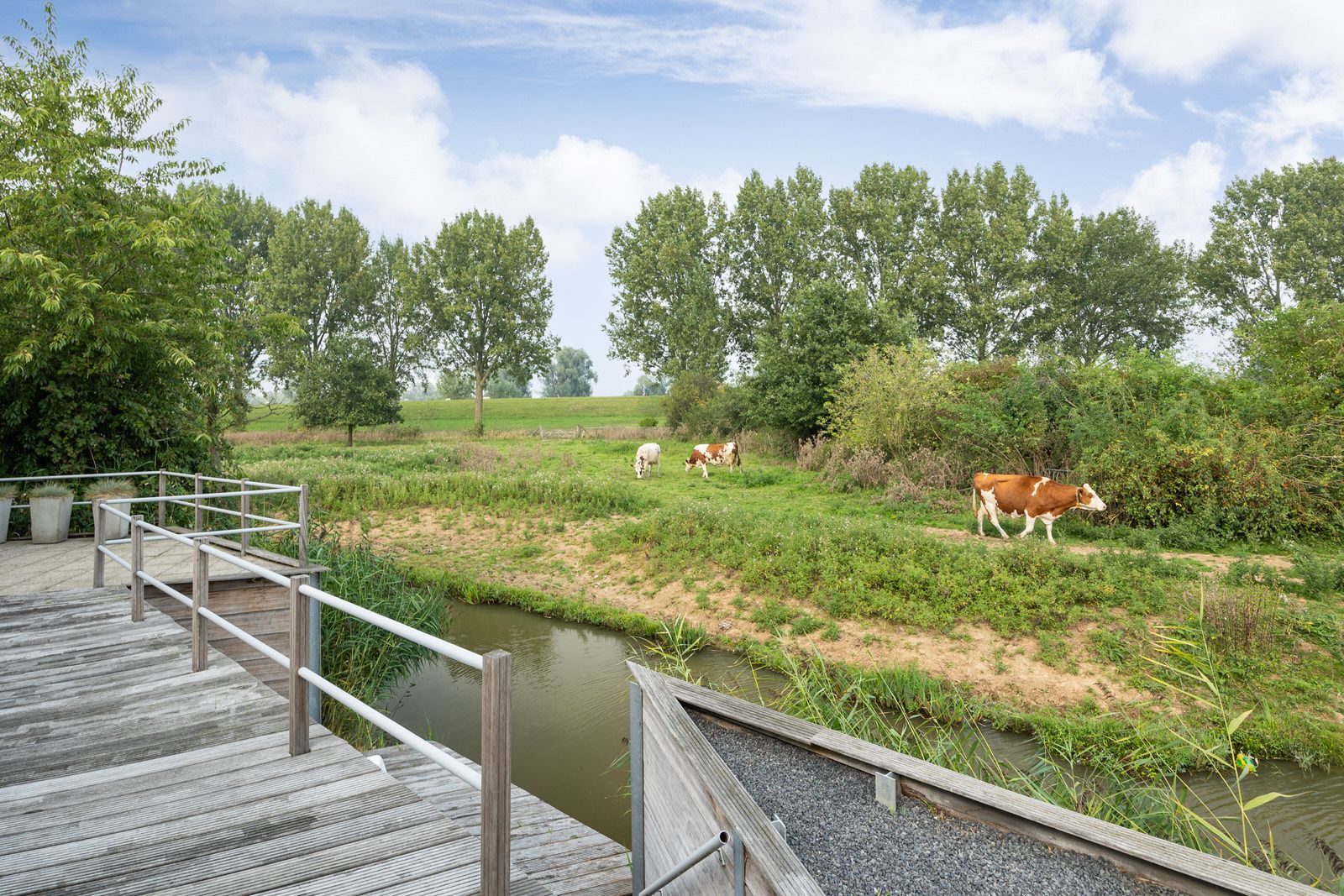 Foto 12 van Meester Bierkuslaan 20