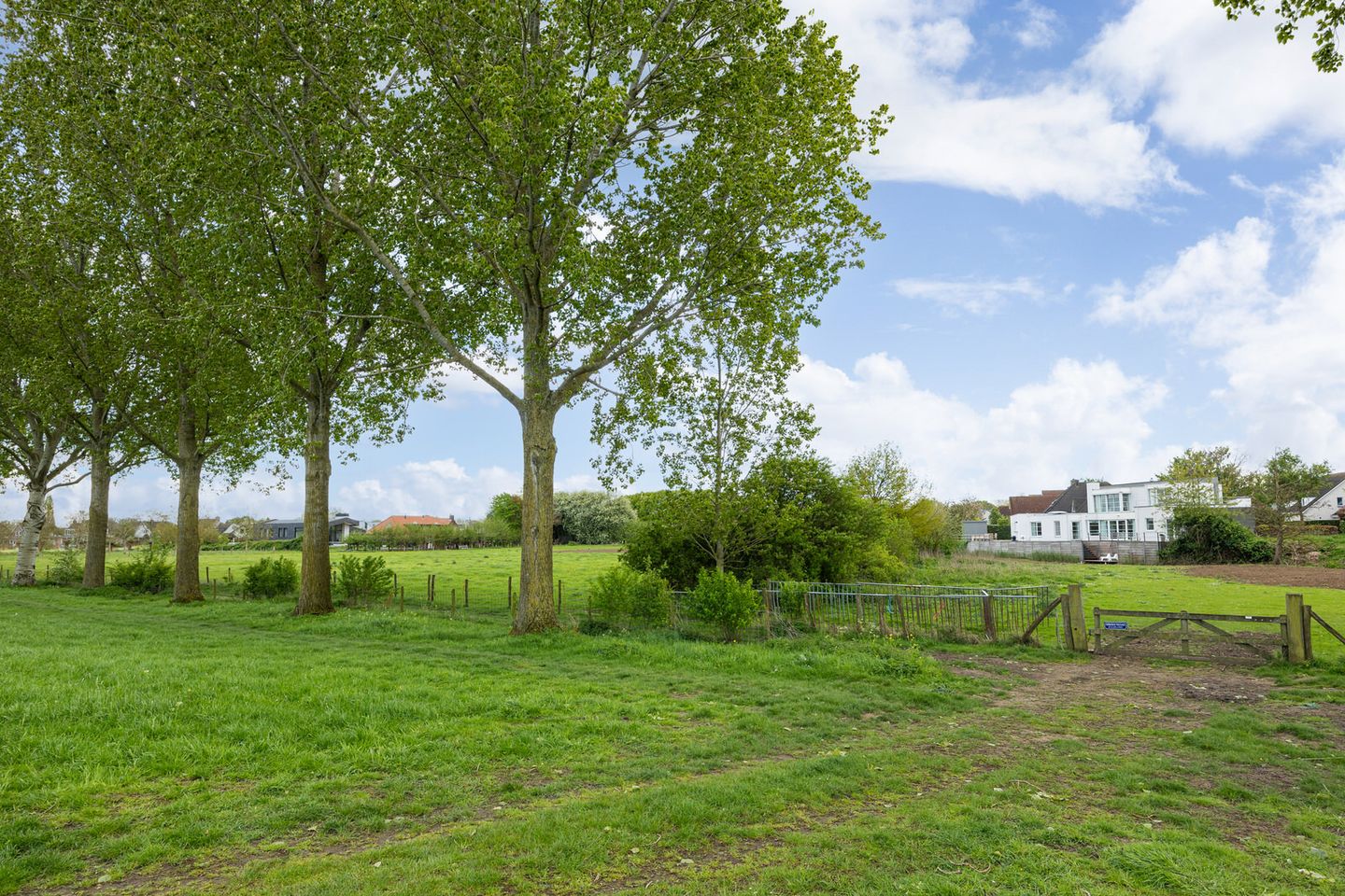 Foto 64 van Meester Bierkuslaan 20