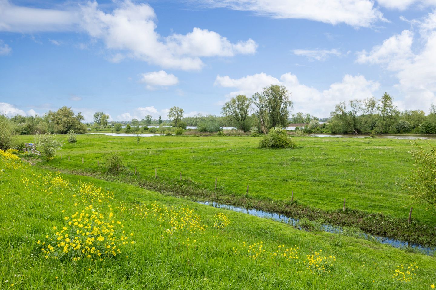 Foto 65 van Meester Bierkuslaan 20