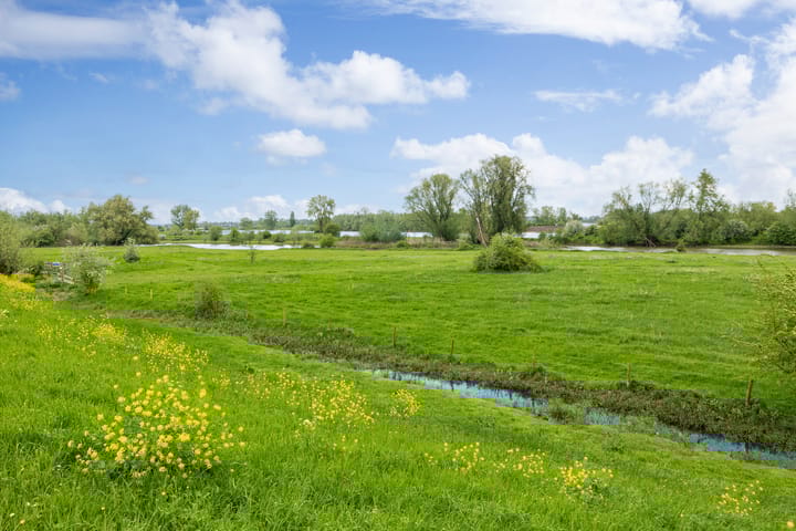 Foto 65 van Meester Bierkuslaan 20