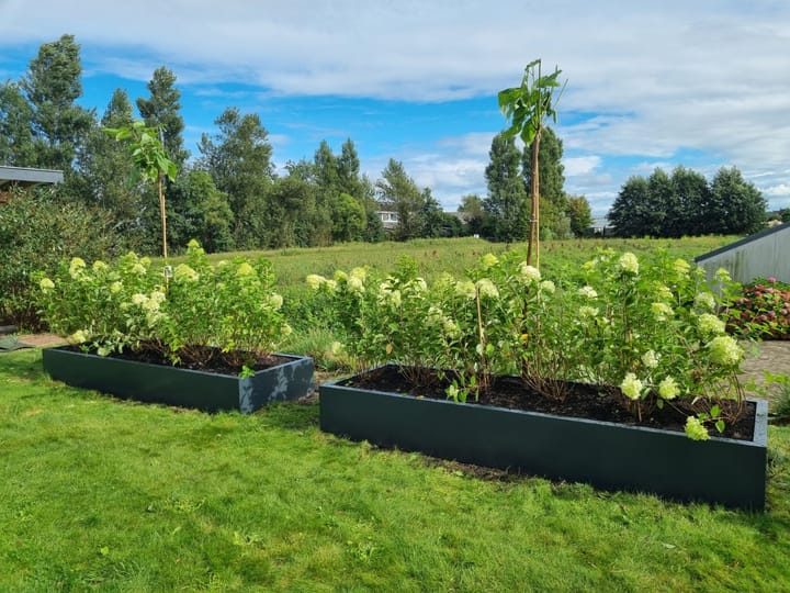 Foto 17 van Herenweg 322