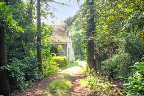 undefined main image