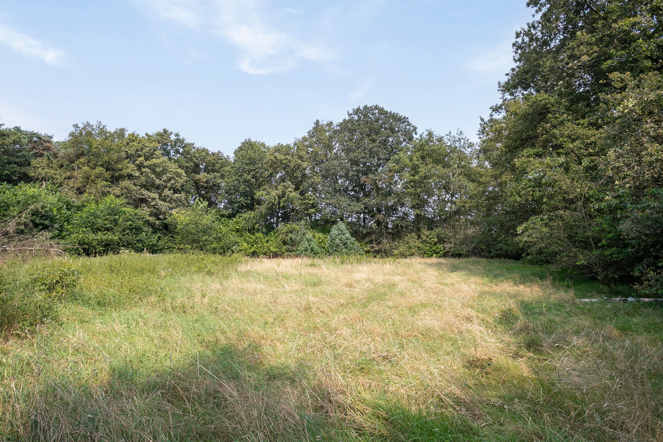 Foto 21 van Bremweg 15