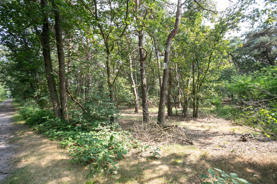 Foto 26 van Bremweg 15