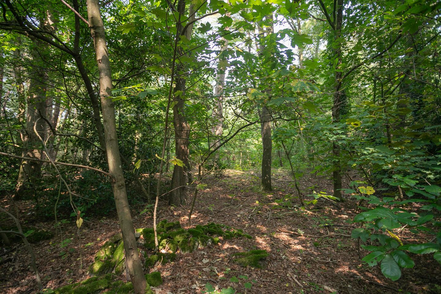 Foto 29 van Bremweg 15