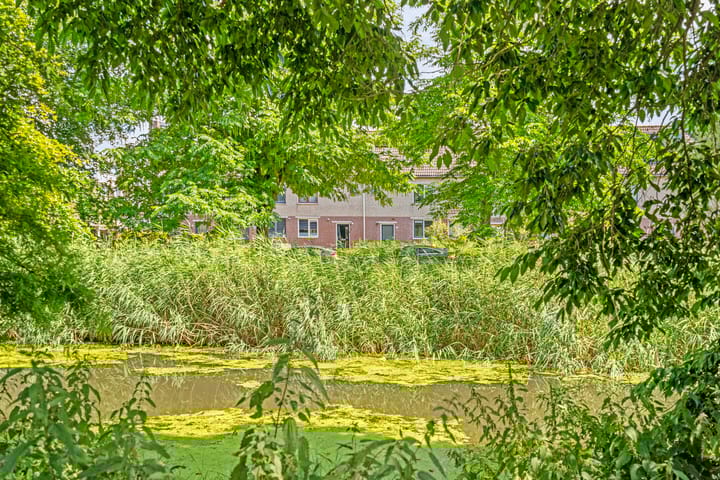 Foto 3 van Count Basiestraat 56