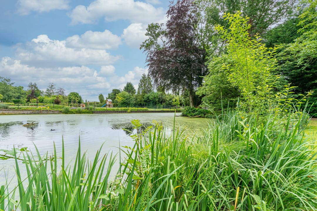 Foto 28 van Papeweg 5