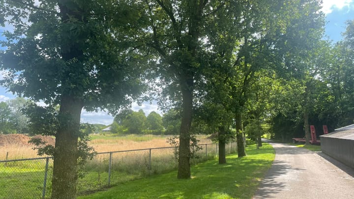 Photo 7 of Tuunterweg