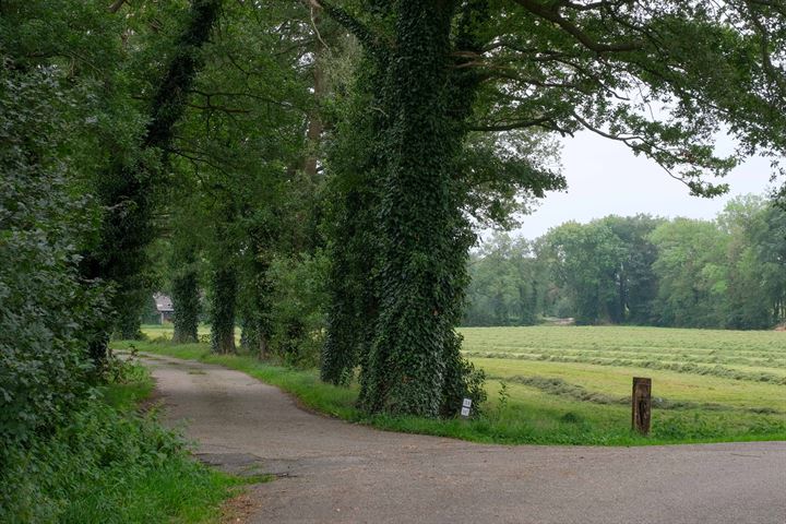 Bekijk foto 35 van Bolkshoeksweg 32